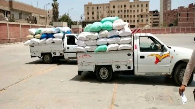 نجاحات كبيرة في الفيوم: توريد 125 ألف طن من القمح للصوامع والشون منذ بداية الموسم الزراعي