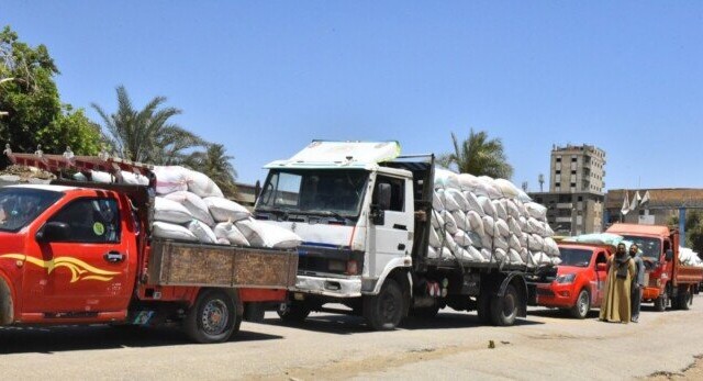 نجاحات ملحوظة في أسيوط: توريد 133 ألف طن من القمح وحصاد 166 ألف فدان حتى الآن