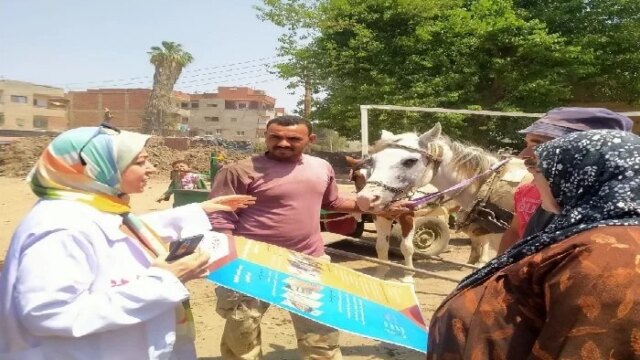 نحو صحة أفضل: بيطري الشرقية يقضي على الطفيليات لـ 5456 رأس ماشية وطائر في قرية «بني عباد»